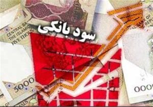 همتی آب پاکی را روی دست سپرده‌گذاران ریخت؛ پول‌ها کجا می‌روند؟
